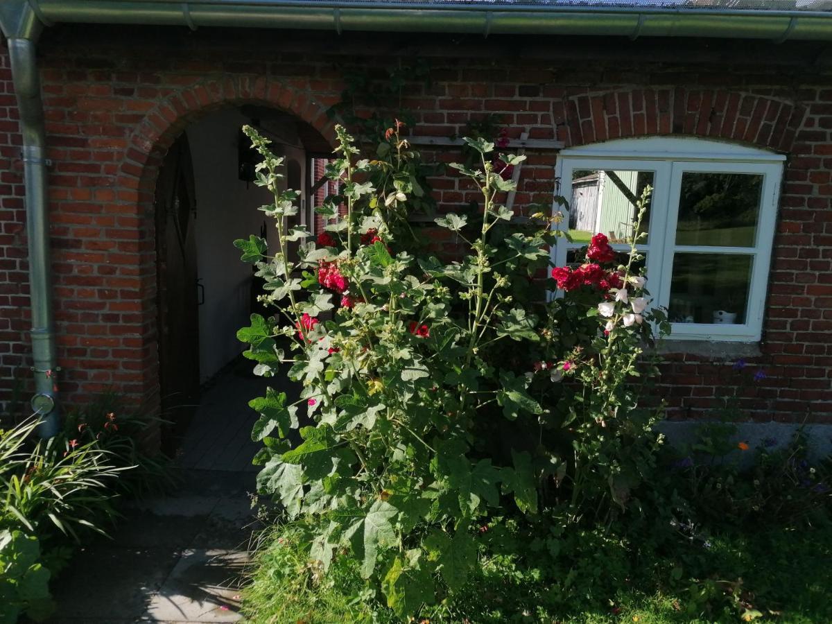 Apartmán Fw Achterdeck, 1 Obergeschoss, Petershof-Lehbek Gelting Exteriér fotografie